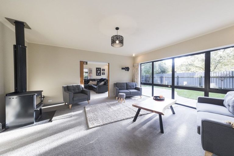 Photo of property in 19 Truscott Grove, Awapuni, Palmerston North, 4412