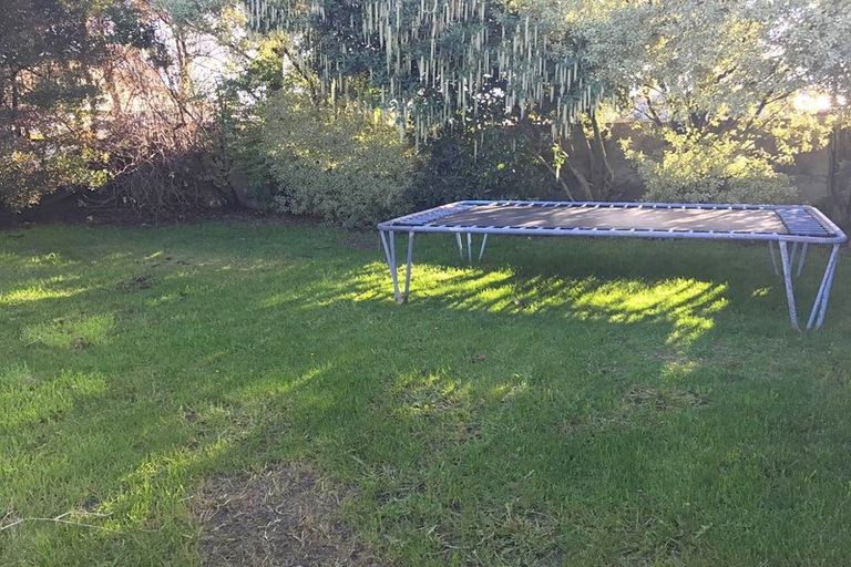 Photo of property in 60 Amyes Road, Hornby, Christchurch, 8042