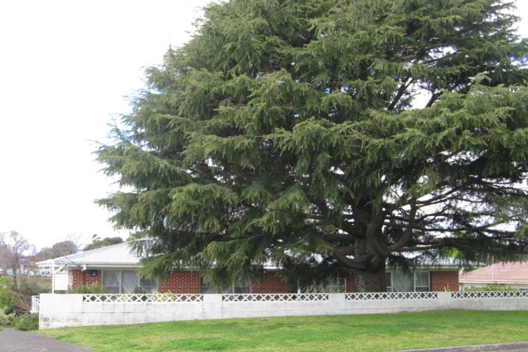 Photo of property in 124 Hynds Road, Gate Pa, Tauranga, 3112