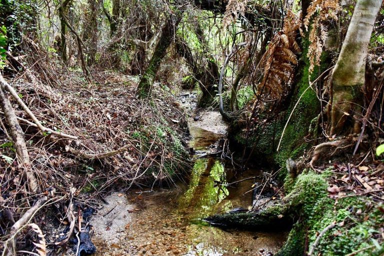 Photo of property in 70 Sunset Heights Road, Karamea, 7893