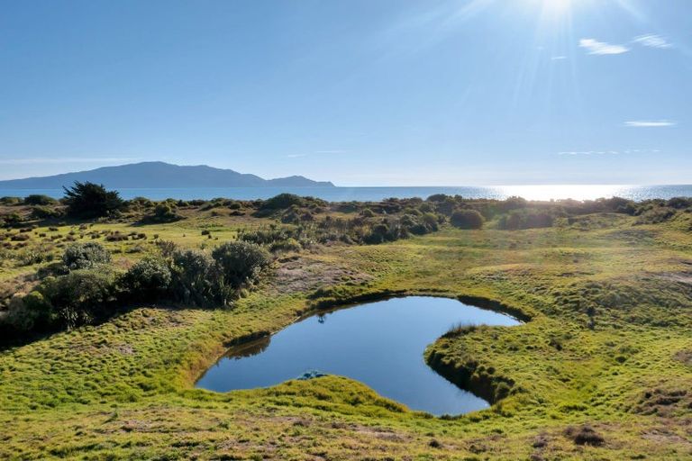 Photo of property in 168 Paetawa Road, Peka Peka, Waikanae, 5391