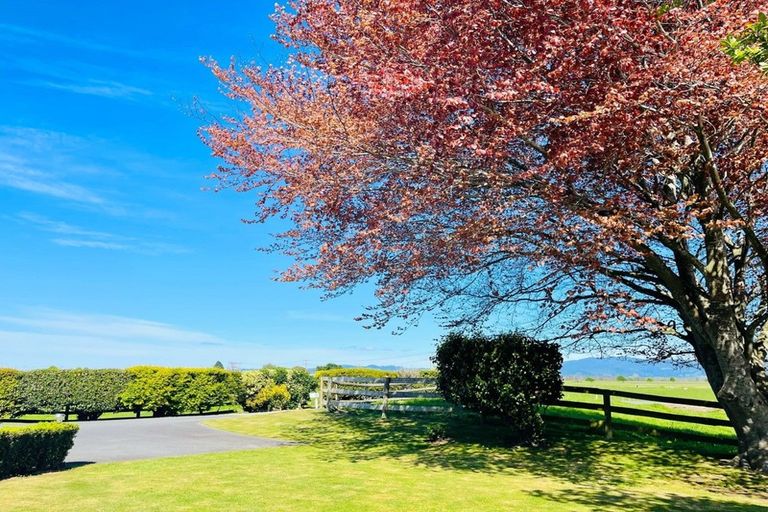 Photo of property in 346 Te Tumu Road, Paengaroa, Te Puke, 3189