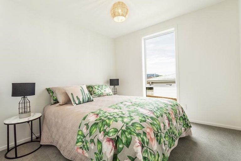 Photo of property in 50 Hawthorn Avenue, Mornington, Dunedin, 9011