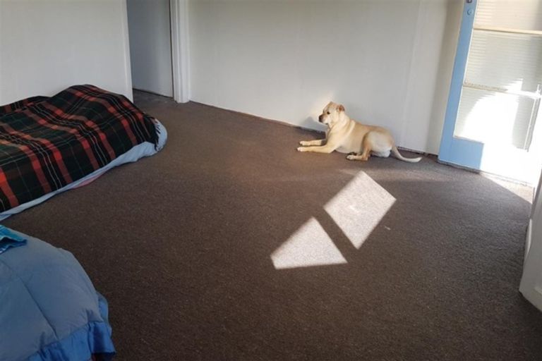 Photo of property in 3287 Karamea Highway, Little Wanganui, Karamea, 7893