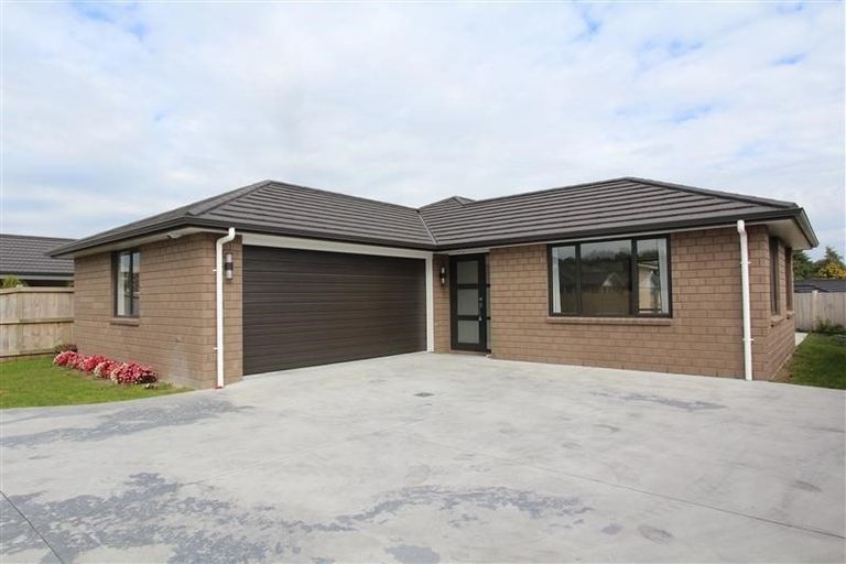 Photo of property in 39 Tupelo Street, Pukete, Hamilton, 3200
