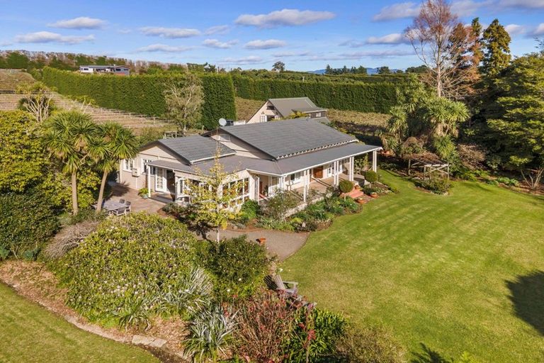 Photo of property in 196 Tuapiro Road, Tahawai, Katikati, 3170