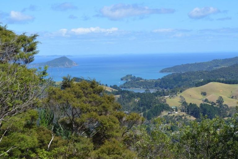 Photo of property in 1455 Buffalo Road, Coromandel, 3506