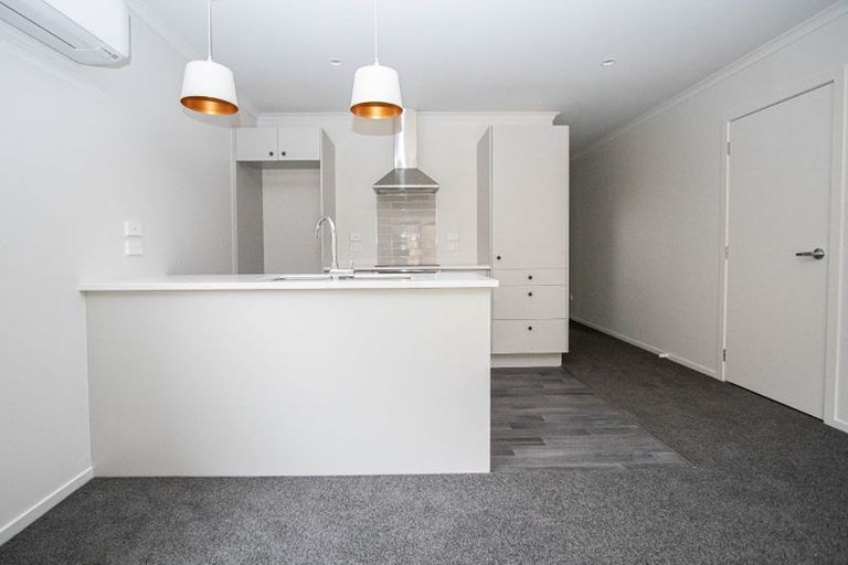 Photo of property in 1/16 Rothwell Street, Dinsdale, Hamilton, 3204