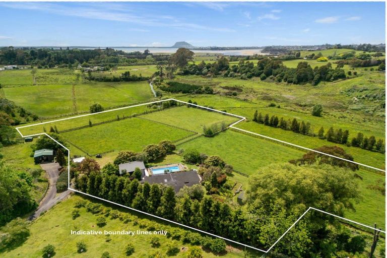 Photo of property in 56e Te Puna Road, Te Puna, Tauranga, 3174