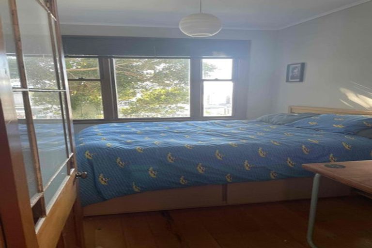 Photo of property in 55 Hankey Street, Mount Cook, Wellington, 6011