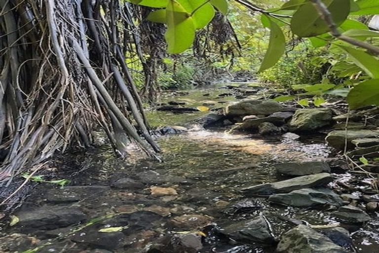 Photo of property in 344 Ohiro Road, Brooklyn, Wellington, 6021