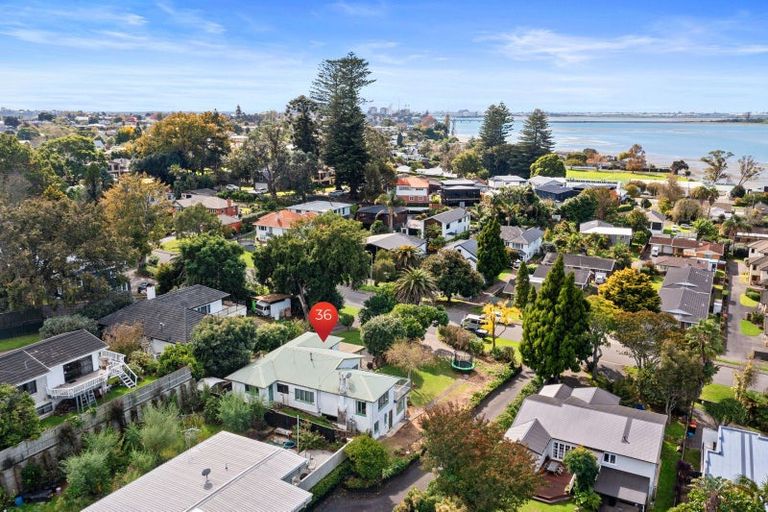 Photo of property in 36 Fourteenth Avenue, Tauranga South, Tauranga, 3112