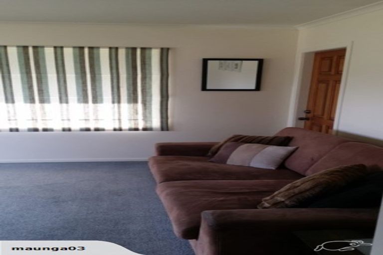 Photo of property in 1212 Kaipaki Road, Cambridge, 3495