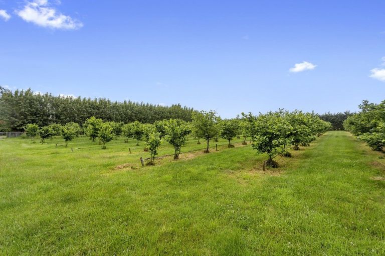 Photo of property in 24 Cameo Drive, Ohoka, Rangiora, 7475