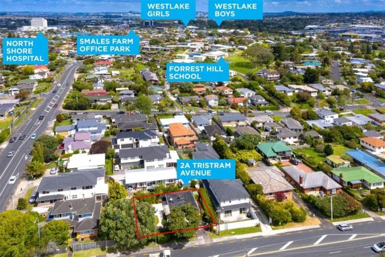 Photo of property in 1/2 Tristram Avenue, Forrest Hill, Auckland, 0620