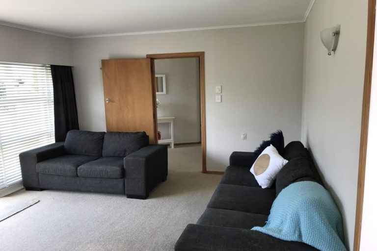 Photo of property in 3 Walker Terrace, Dinsdale, Hamilton, 3204