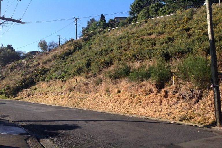 Photo of property in 50 Norwood Street, Normanby, Dunedin, 9010