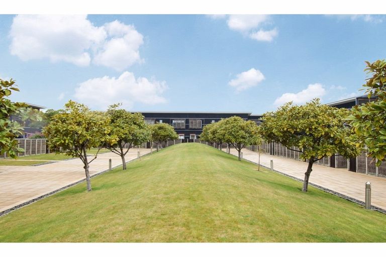 Photo of property in The Terraces, 18/9 Humber Street, Pandora, Napier, 4110