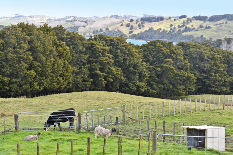 Photo of property in 301 Ranganui Road, Kaiwaka, 0573