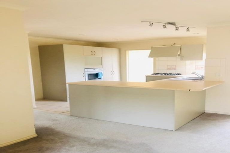 Photo of property in 37 Robin Brooke Drive, Flat Bush, Auckland, 2019