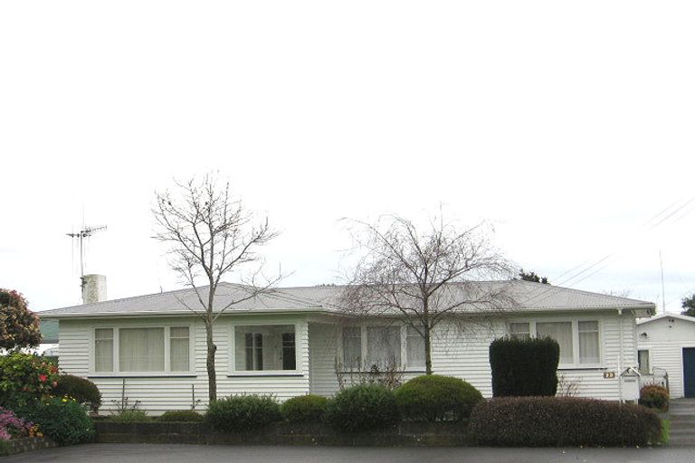 Photo of property in 23 Tasman Street, Levin, 5510