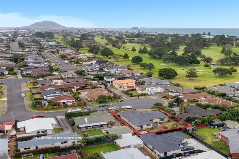 Photo of property in 14 Solway Place, Mount Maunganui, 3116