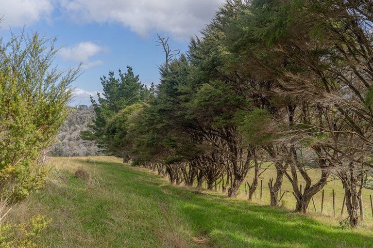 Photo of property in 425n Boat Harbour Road, Whenuakite, Whitianga, 3591