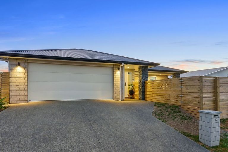 Photo of property in 12 Gardner Place, Otaki, 5512