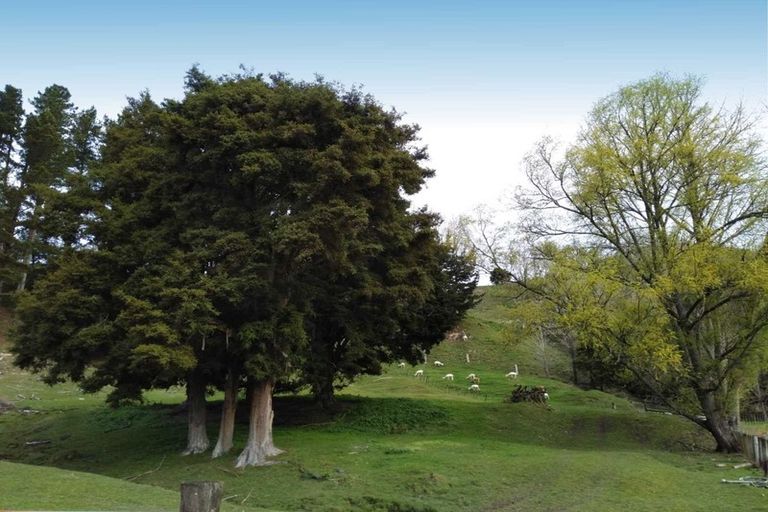 Photo of property in 453 Kururau Road, Taumarunui, 3991