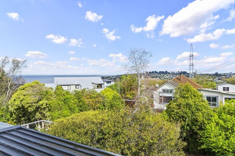 Photo of property in 207 Elgin Road, Balaclava, Dunedin, 9011