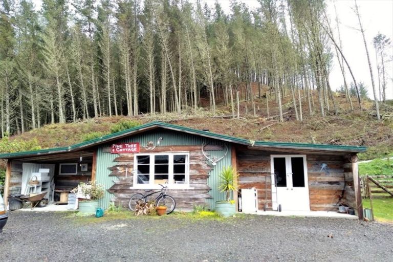 Photo of property in 101 Koromiko Road, Ongarue, Taumarunui, 3996