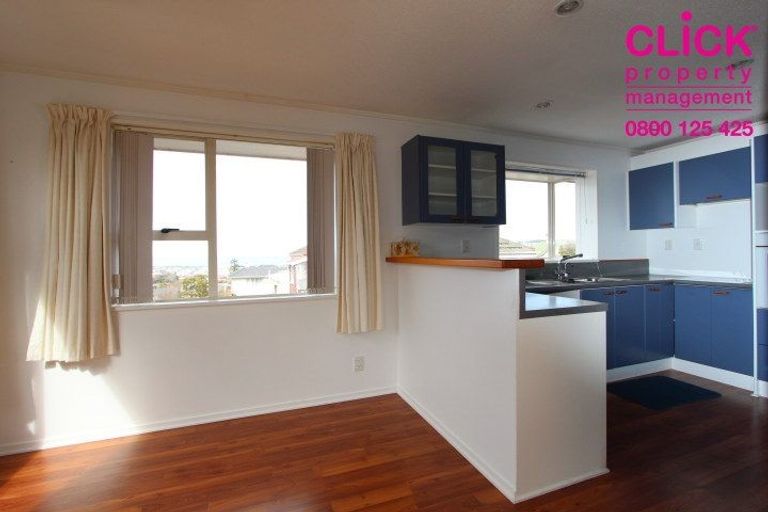 Photo of property in 17 Patrick Street, The Glen, Dunedin, 9011