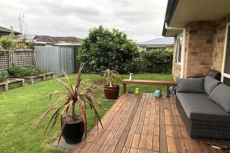 Photo of property in 43 Wills Road, Katikati, 3129
