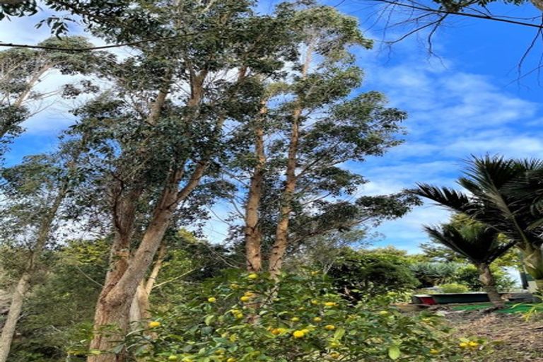 Photo of property in 2201 State Highway 12, Paparoa, 0571