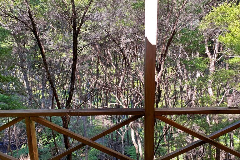 Photo of property in 48 Schoolhouse Bay Road, Kawau Island, 0920