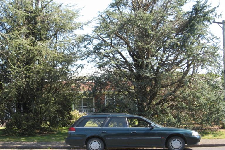 Photo of property in 19 Duncan Street, Glenholme, Rotorua, 3010