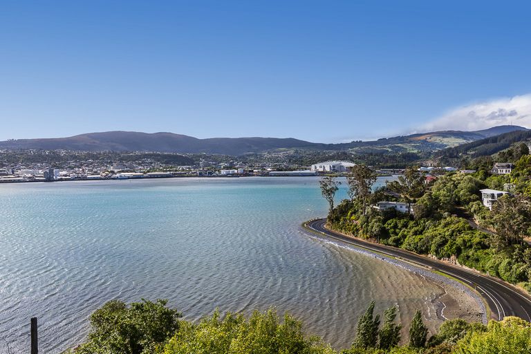 Photo of property in 20 Glengyle Street, Vauxhall, Dunedin, 9013