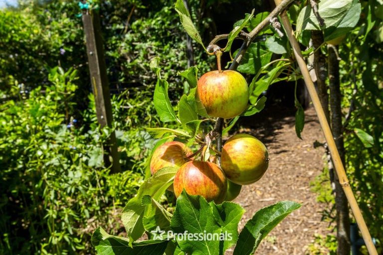 Photo of property in 264c Old School Road, Maymorn, Upper Hutt, 5018
