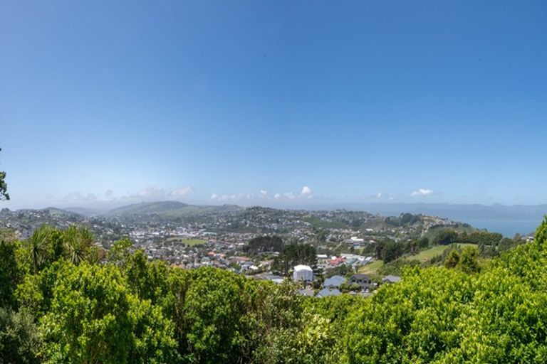 Photo of property in 60 Nalanda Crescent, Broadmeadows, Wellington, 6035