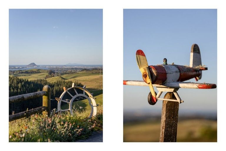 Photo of property in 565c Upper Ohauiti Road, Ohauiti, Tauranga, 3173