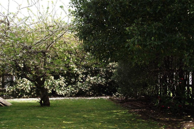 Photo of property in 4 Princes Street, Waihi, 3610