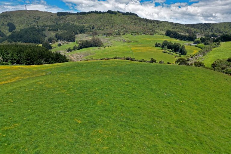 Photo of property in 304b Pigeon Flat Road, Mount Cargill, Waitati, 9085
