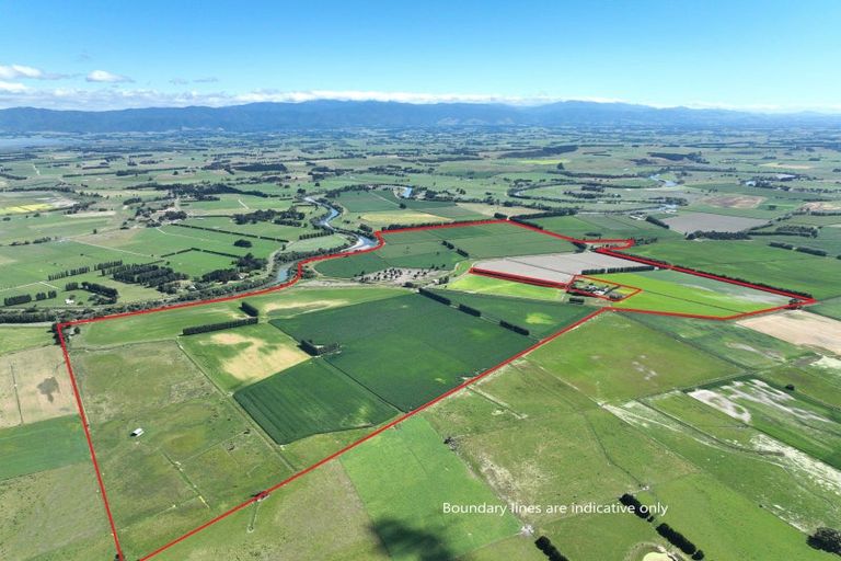 Photo of property in 247 Mahaki Road, Dyerville, Martinborough, 5781