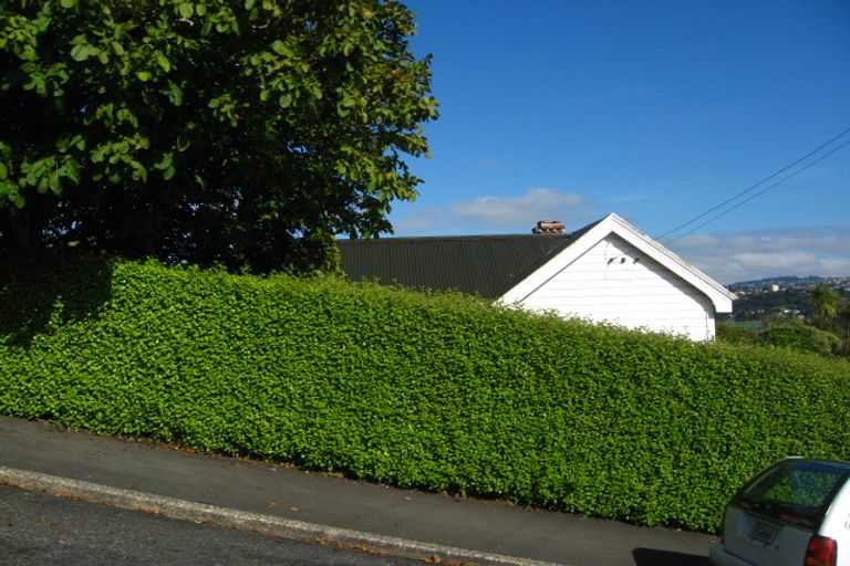 Photo of property in 56 Mechanic Street, North East Valley, Dunedin, 9010