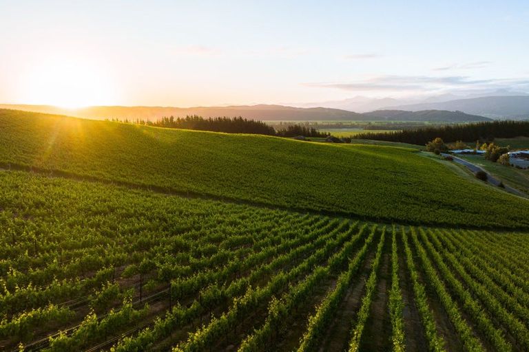 Photo of property in 417 Delta Lake Heights, Renwick, Blenheim, 7271