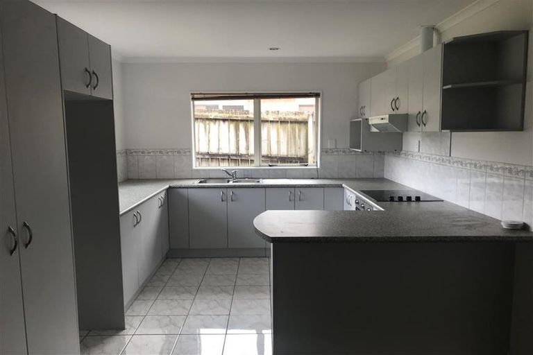 Photo of property in 117 Palmers Road, Clendon Park, Auckland, 2103