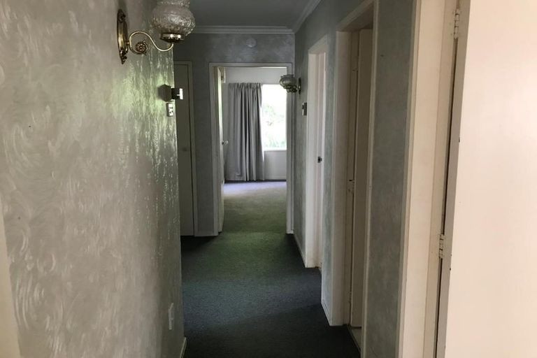 Photo of property in 62 Glen Lynne Avenue, Queenwood, Hamilton, 3210