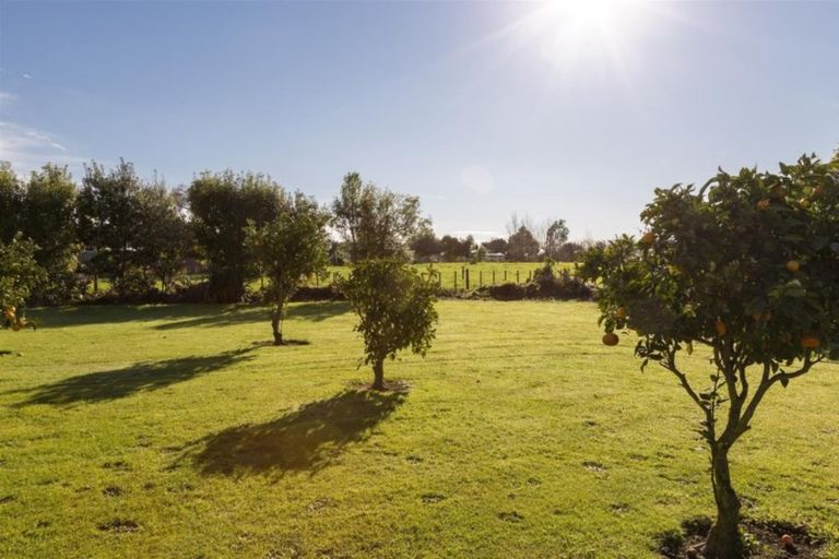 Photo of property in 9 Lupton Street, Waverley, 4510