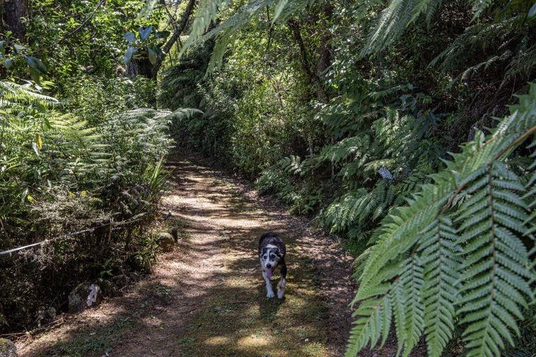 Photo of property in 144 Tahere Road, Whareora, Whangarei, 0175