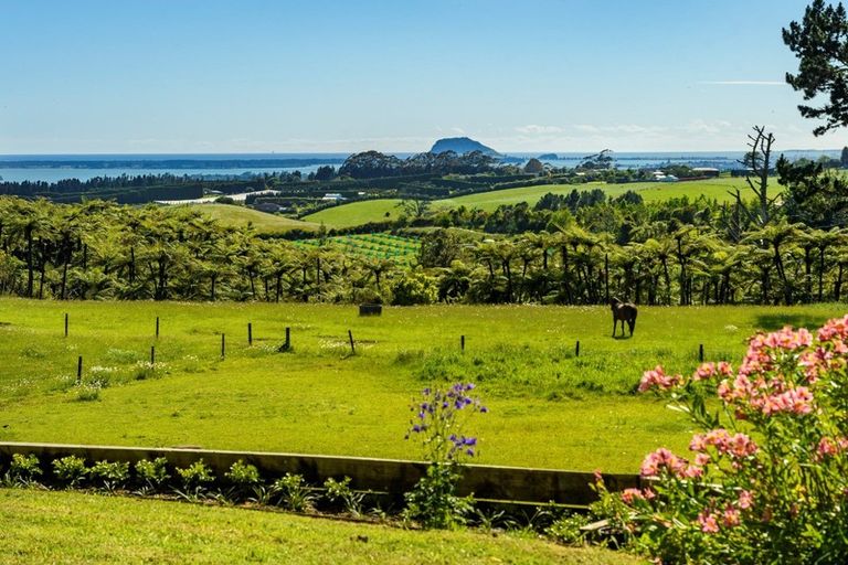 Photo of property in 200 Ross Road, Whakamarama, Tauranga, 3179